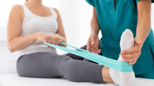 Опорно-двигательный аппарат